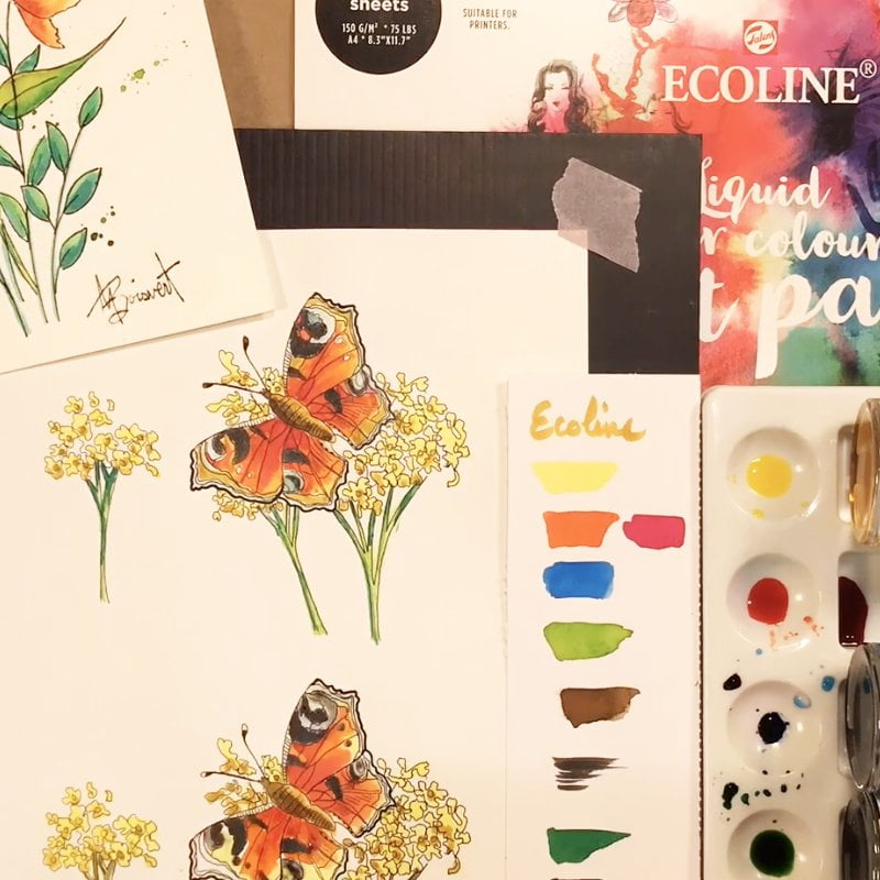 Ecoline, démonstration coloration