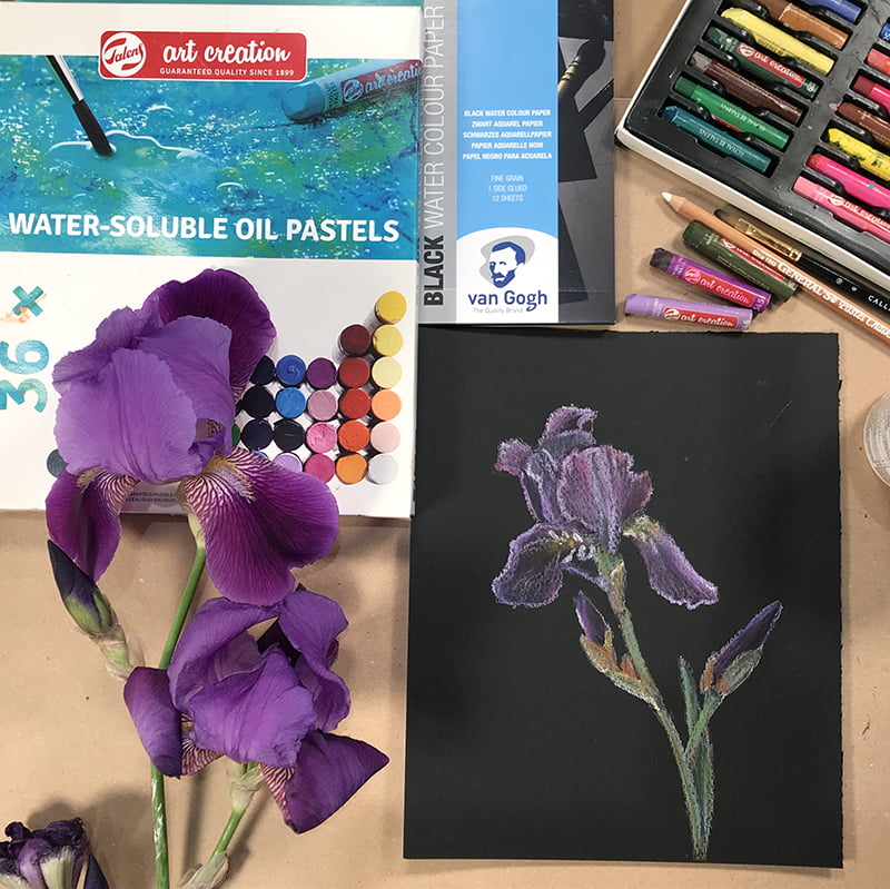 Pastels à l&rsquo;huile soluble à l&rsquo;eau